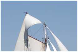 Gaffelschoner Twister