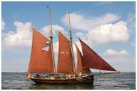 Hanse Sail 2009