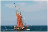 Hanse Sail 2009