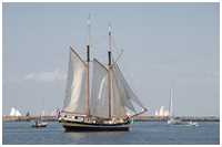 Gaffelschoner Zuiderzee