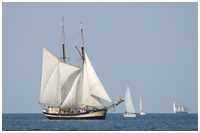 Gaffelschoner Zuiderzee