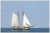 Gaffelschoner Zuiderzee