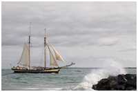 Gaffelschoner Zuiderzee