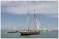 Gaffelschoner Zuiderzee