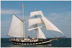 Schonerbrigg Willem