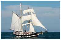 Hanse Sail 2009