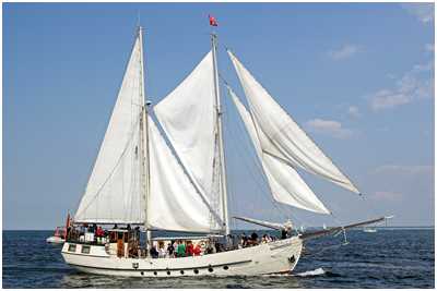 Bermudaschoner Mariarosa