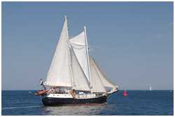 Hanse Sail 2021