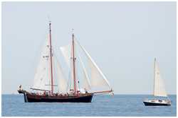 Hanse Sail 2013