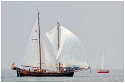 Hanse Sail 2013