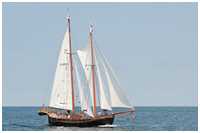 Hanse Sail 2014