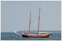 Hanse Sail 2015