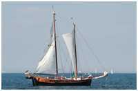 Hanse Sail 2015