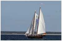 Hanse Sail 2017