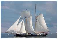 Toppsegelschoner Wylde Swan