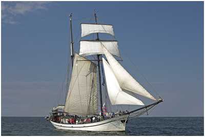 Toppsegelschoner Bisschop van Arkel