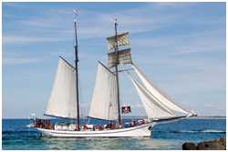Hanse Sail 2013