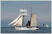 Hanse Sail 2011