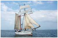 Hanse Sail 2011