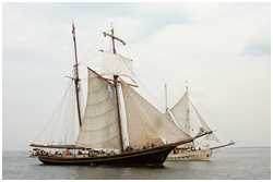 Hanse Sail 2010