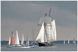 Toppsegelschoner Wylde Swan