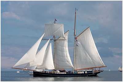 Toppsegelschoner Wylde Swan