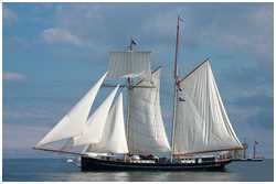 Toppsegelschoner Wylde Swan
