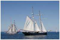 Toppsegelschoner Wylde Swan