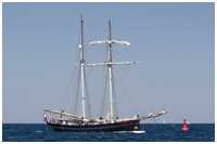 Toppsegelschoner Wylde Swan