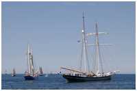Toppsegelschoner Wylde Swan