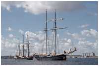 Toppsegelschoner Wylde Swan