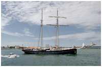 Toppsegelschoner Wylde Swan