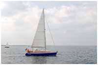 Flirt 30