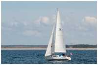 Winner Segelyachten
