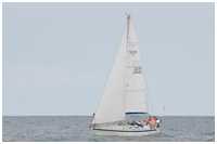 Sweden Yachts 36