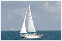 Monsun 31