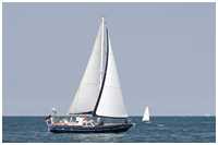 Roberts 44