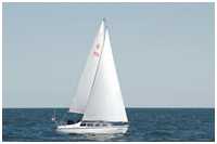 Condor 7