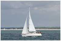 Arion 29