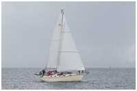 Island Packet Yachts
