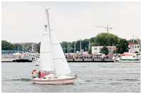 Johnson 26