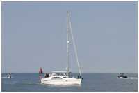 Pilot Saloon 41