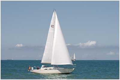 Commander 31