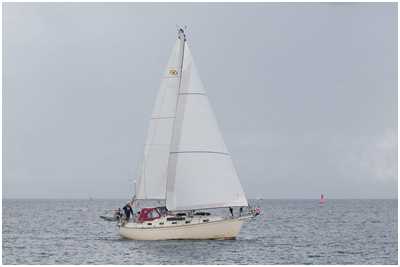 Island Packet Yachts