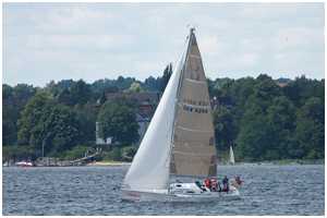 Luffe 43