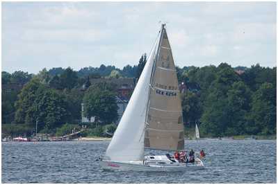 Luffe 43