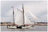 Hanse Sail 2017