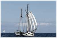 Hanse Sail 2017