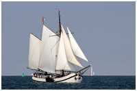 Hanse Sail 2018