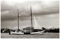Hanse Sail 2018